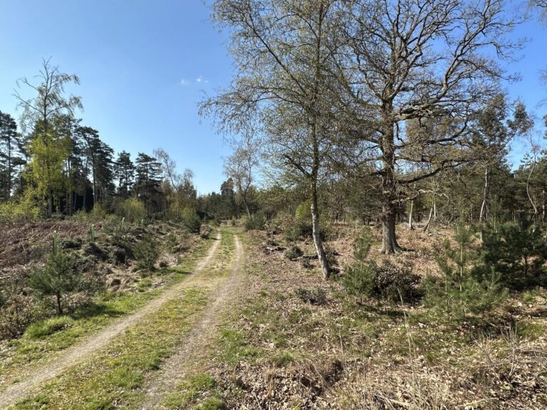 Woodland, Lakes and Garden Centre image 15