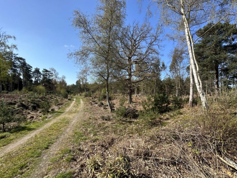 Woodland, Lakes and Garden Centre image 16