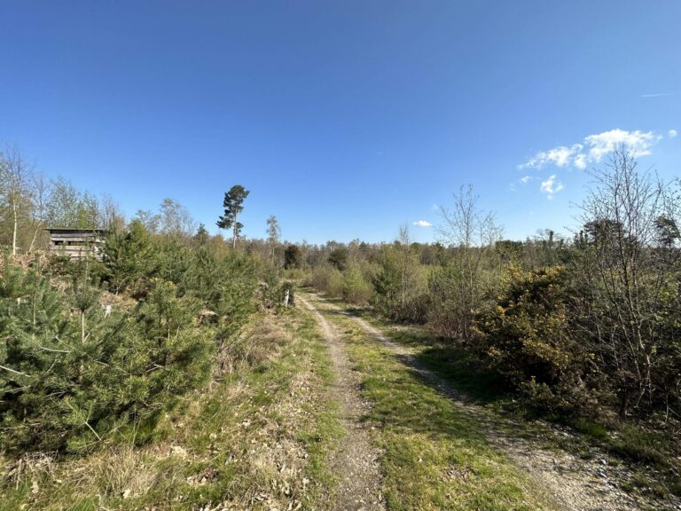 Woodland, Lakes and Garden Centre image 17
