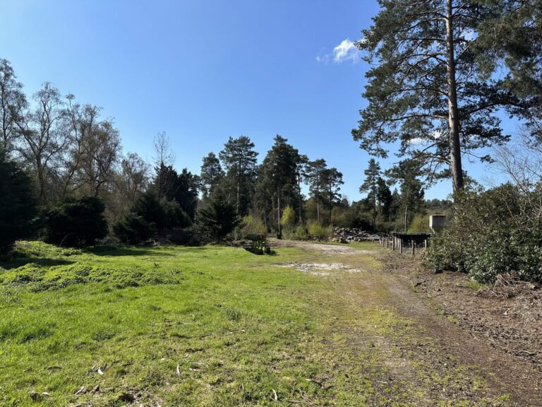 Woodland, Lakes and Garden Centre image 18