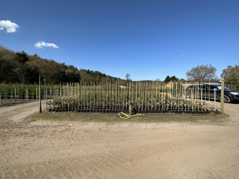 Woodland, Lakes and Garden Centre image 20
