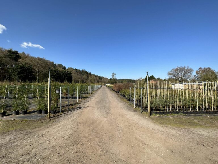 Woodland, Lakes and Garden Centre image 21