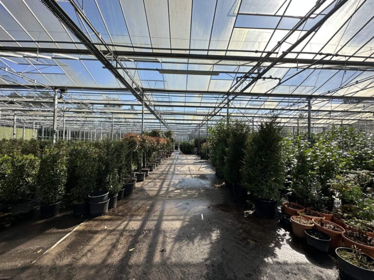 Woodland, Lakes and Garden Centre image 23