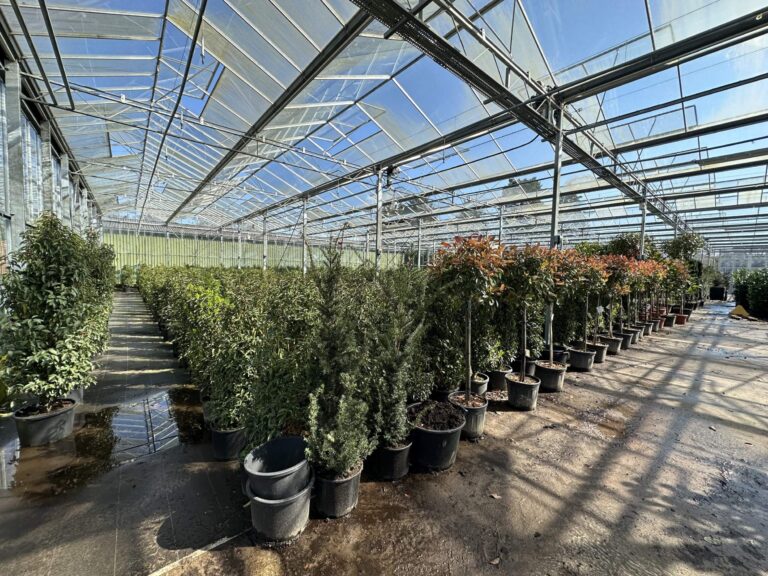 Woodland, Lakes and Garden Centre image 22
