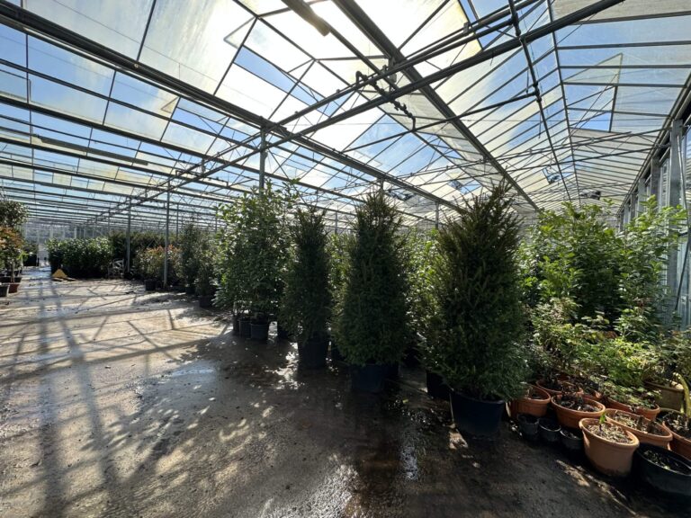 Woodland, Lakes and Garden Centre image 26