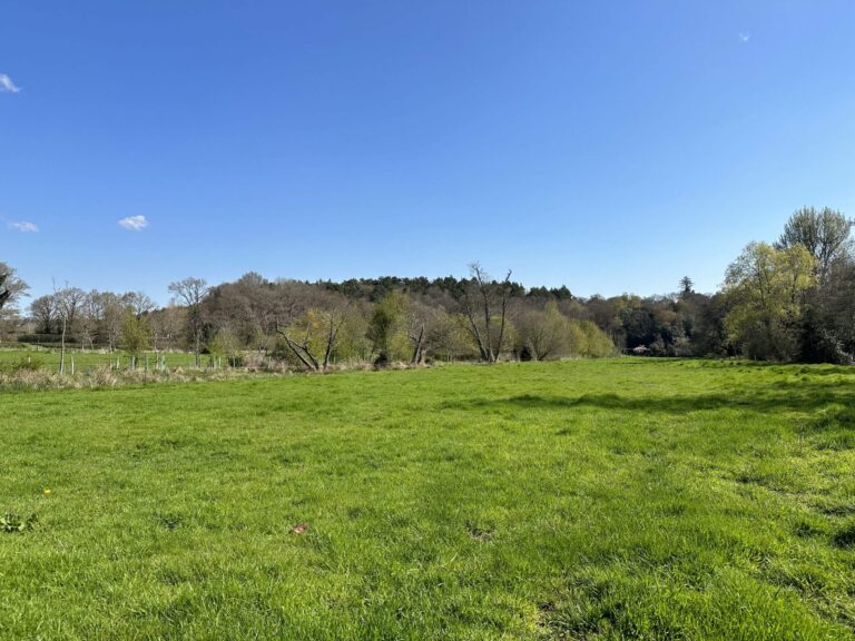 Woodland, Lakes and Garden Centre image 30