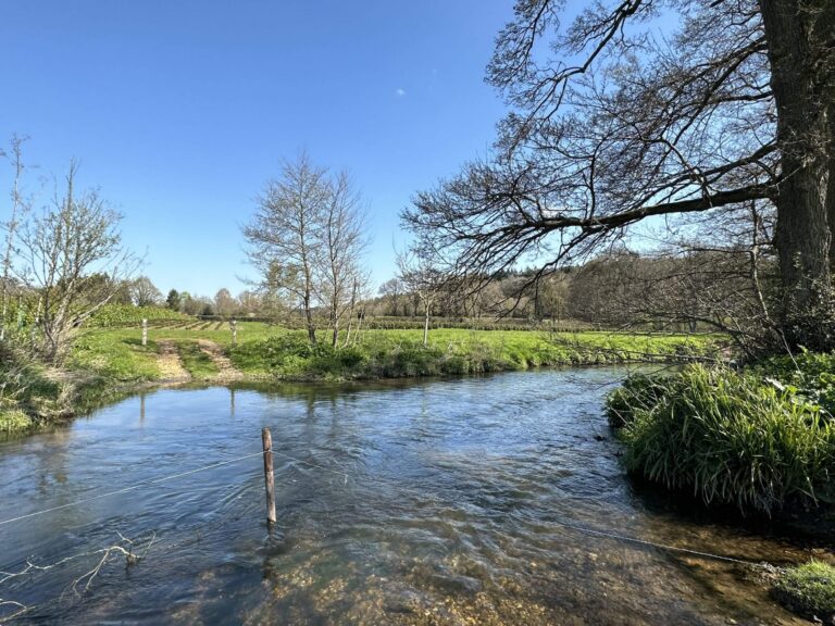 Woodland, Lakes and Garden Centre image 32