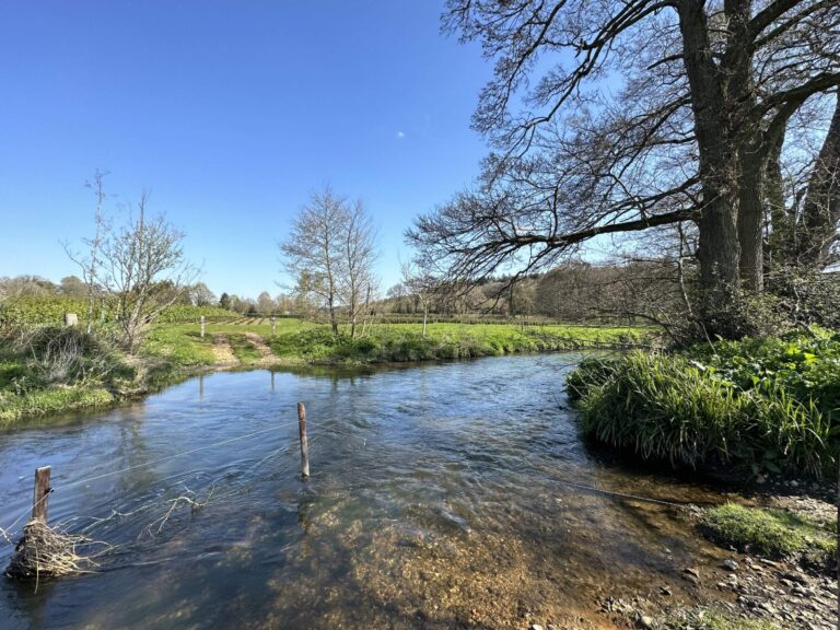 Woodland, Lakes and Garden Centre image 33