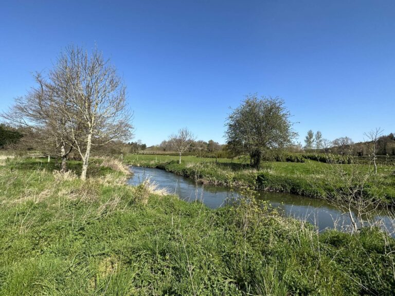 Woodland, Lakes and Garden Centre image 37