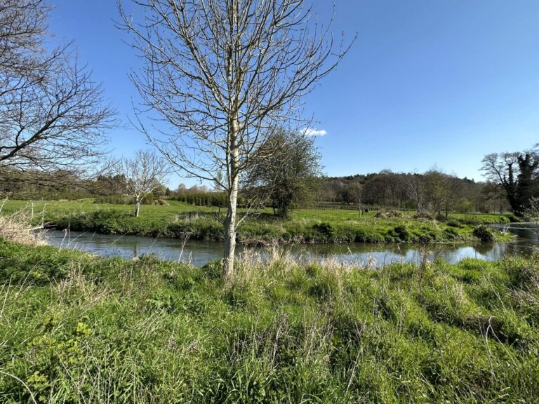Woodland, Lakes and Garden Centre image 38