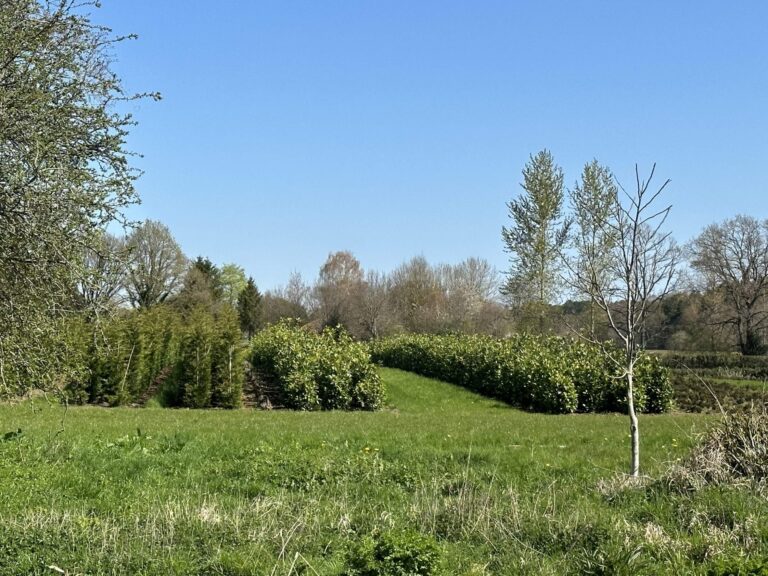 Woodland, Lakes and Garden Centre image 40