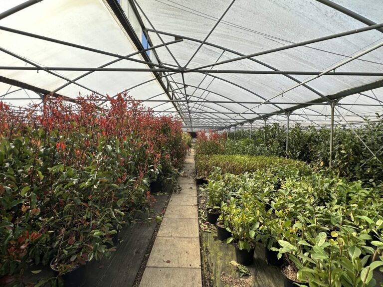 Woodland, Lakes and Garden Centre image 50