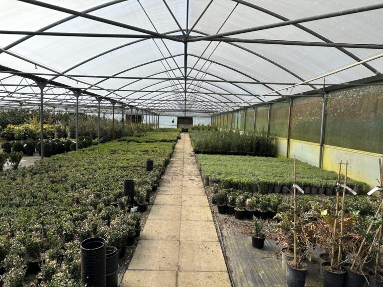 Woodland, Lakes and Garden Centre image 51