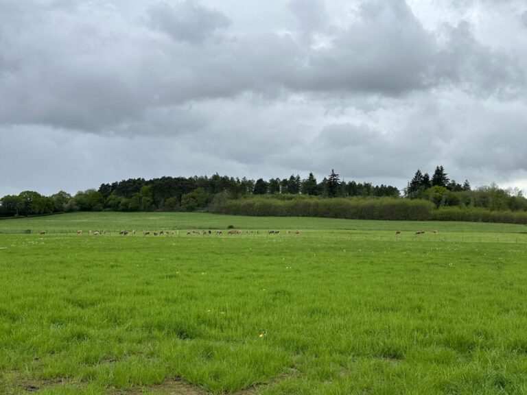 Farnham Farm & Unit Base image 7