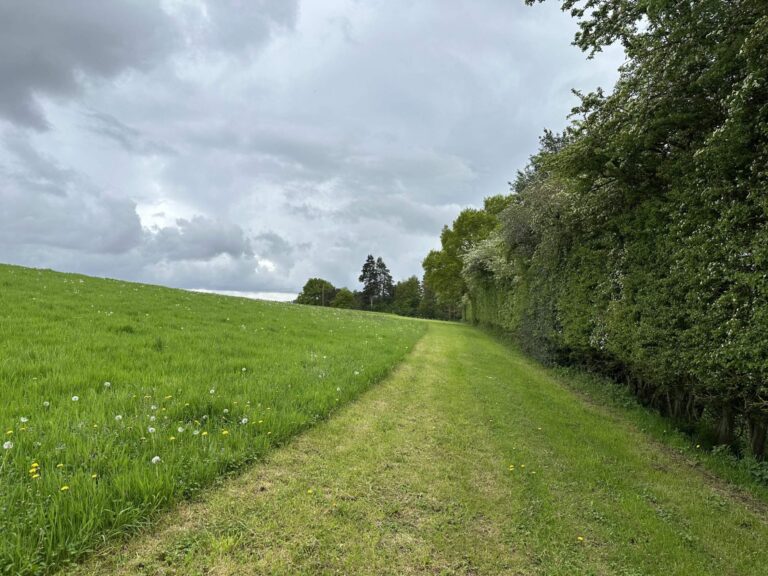 Farnham Farm & Unit Base image 9