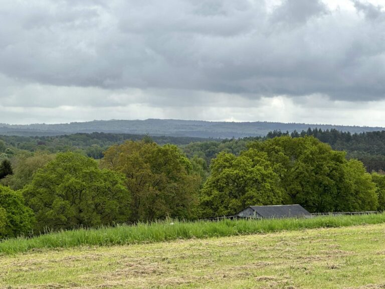 Farnham Farm & Unit Base image 14