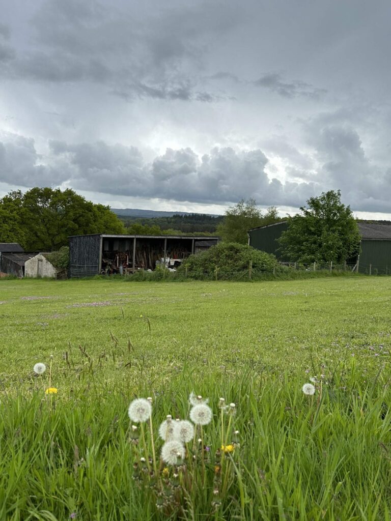 Farnham Farm & Unit Base image 23