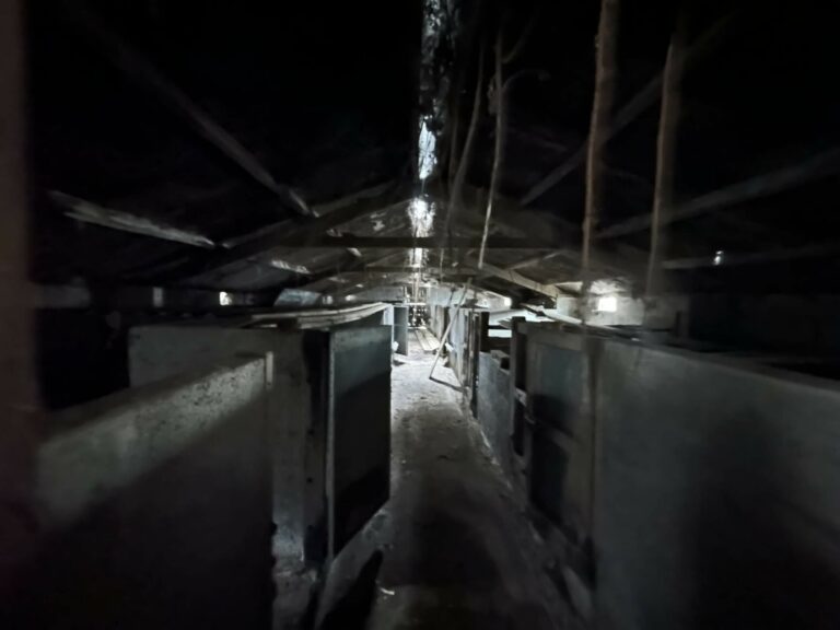 Farnham Farm & Unit Base image 45