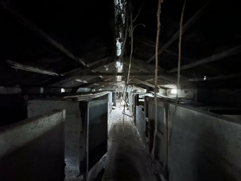 Farnham Farm & Unit Base image 47