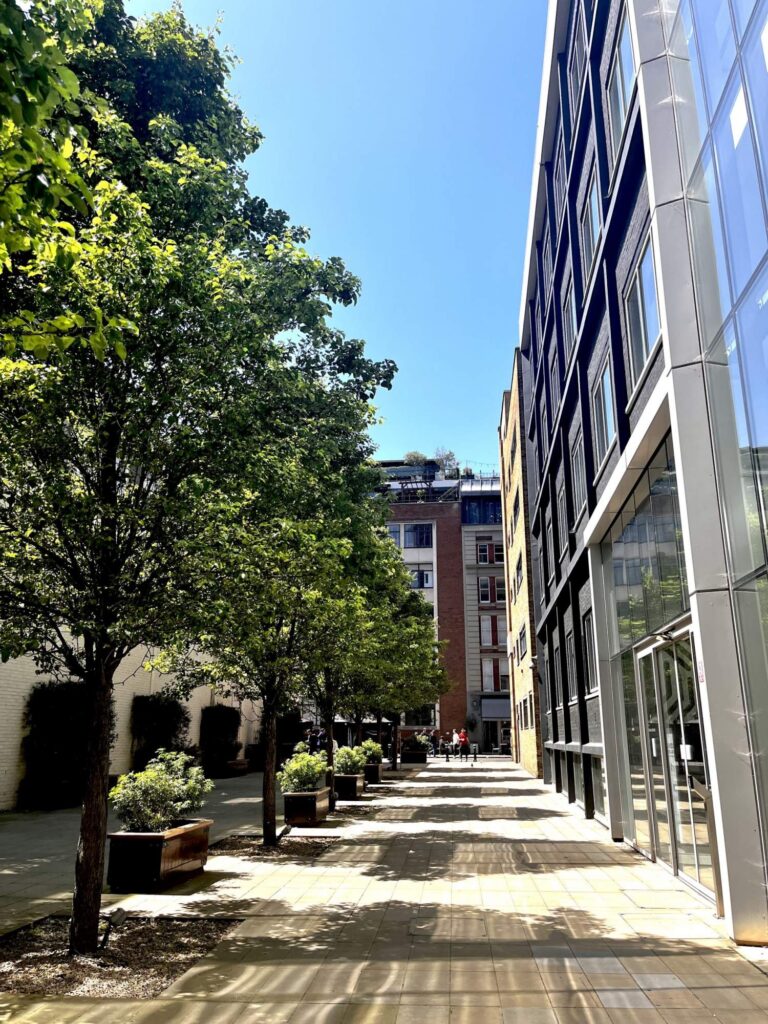 Vacant Offices in City image 21