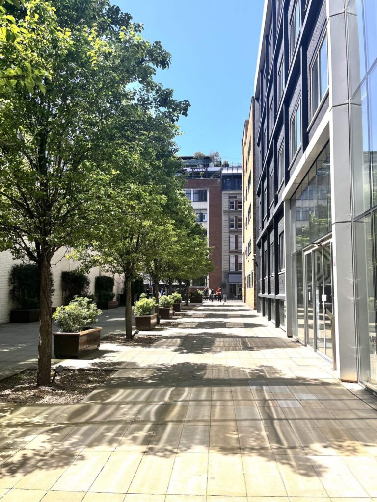 Vacant Offices in City image 22