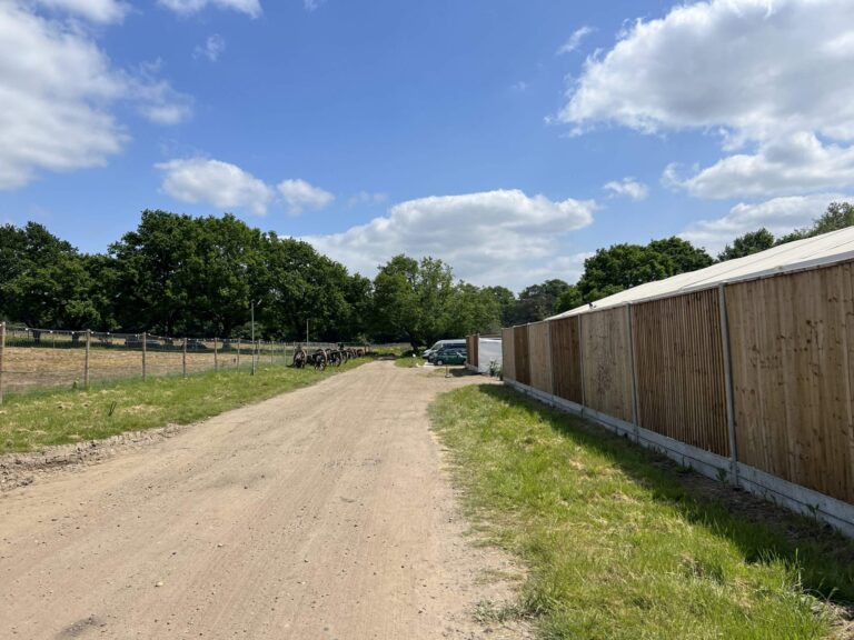 Versatile Farm Property near Shepperton image 15