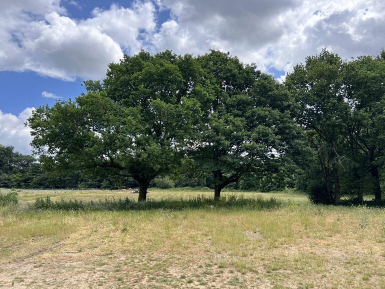 Versatile Farm Property near Shepperton image 9