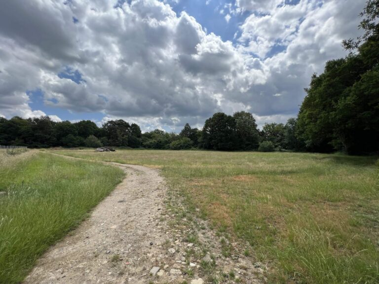 Versatile Farm Property near Shepperton image 5