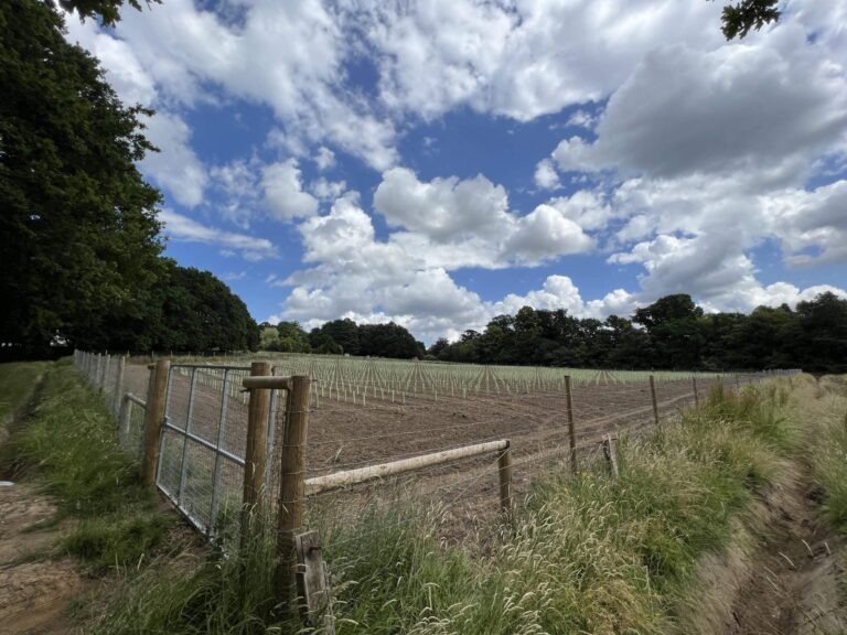 Versatile Farm Property near Shepperton image 4