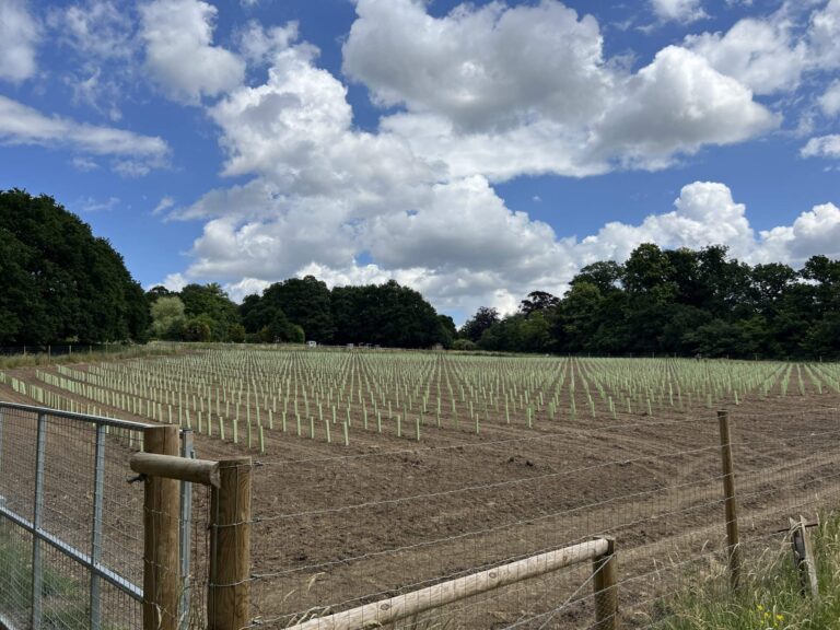 Versatile Farm Property near Shepperton image 3