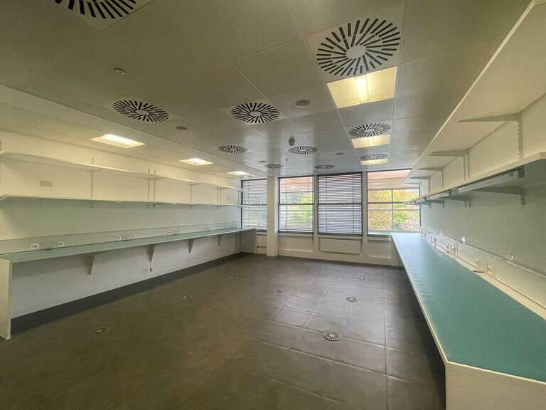 Fully Vacant Office image 29
