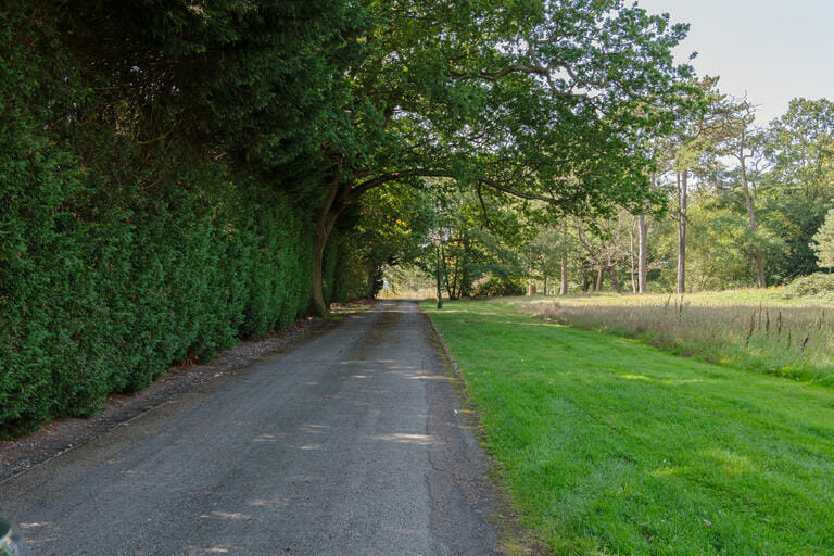 Estate with Private Woodland image 67