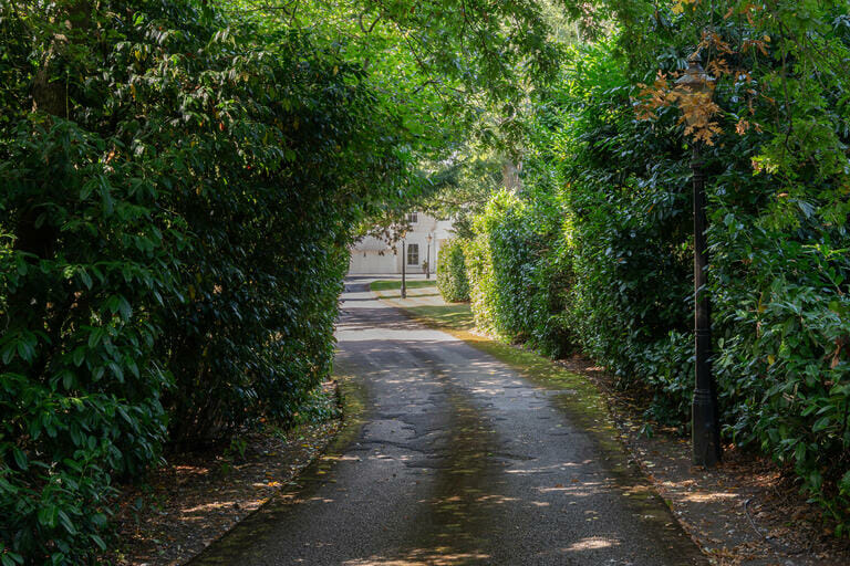 Estate with Private Woodland image 69