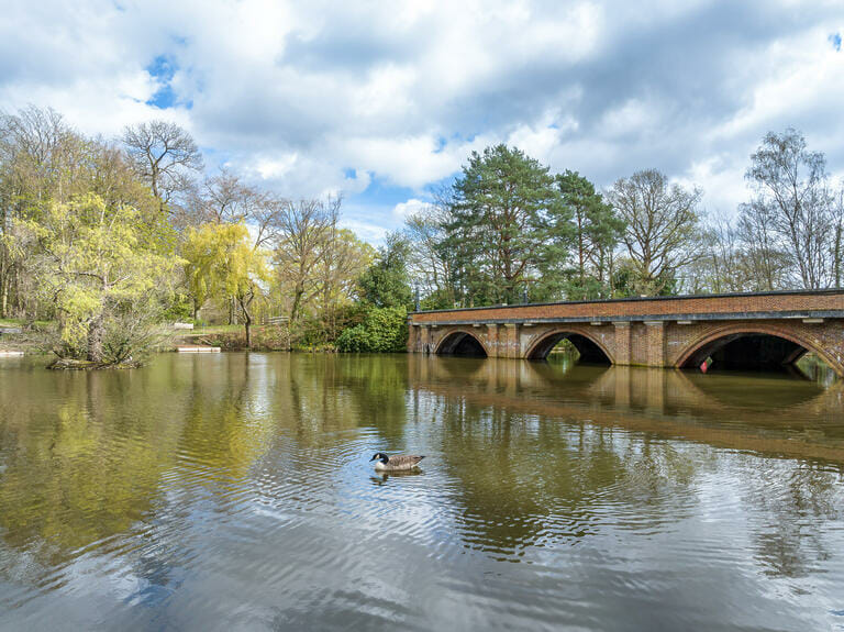 Multi site in Walton on Thames image 58