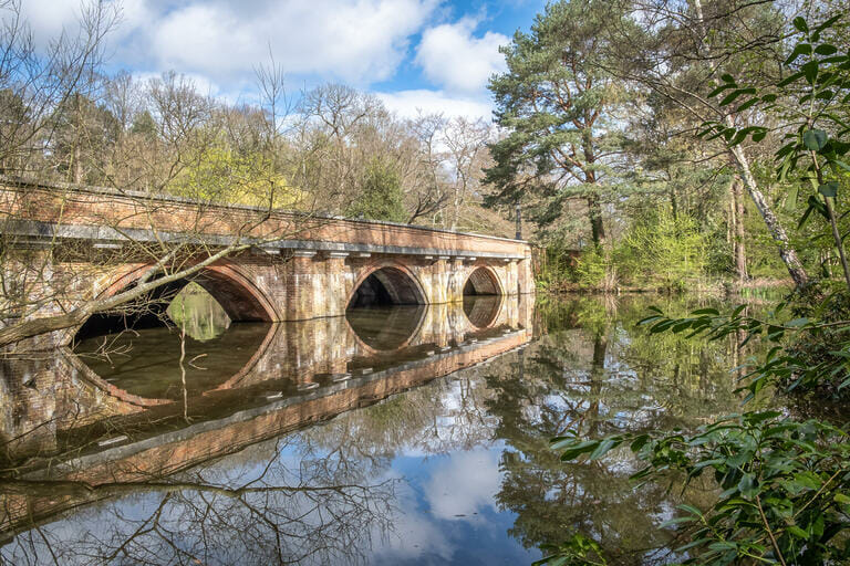 Multi site in Walton on Thames image 59