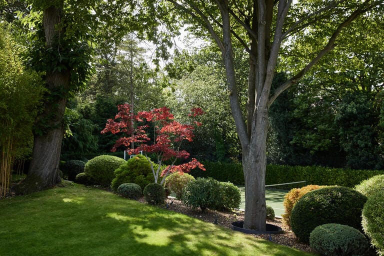 Modern Contemporary Home image 35