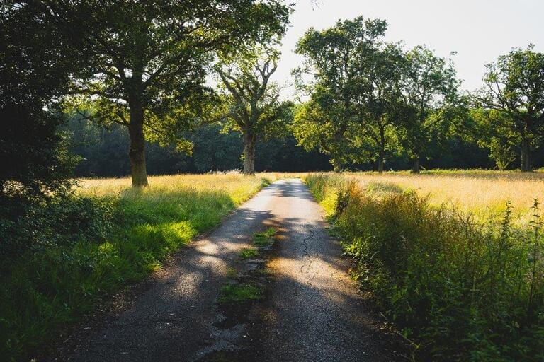 Magnificent Countryside Estate image 31