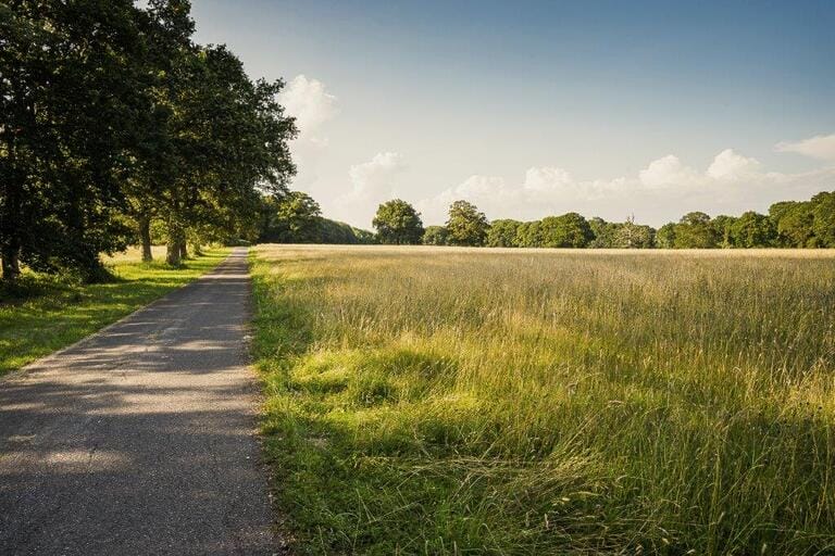 Magnificent Countryside Estate image 32