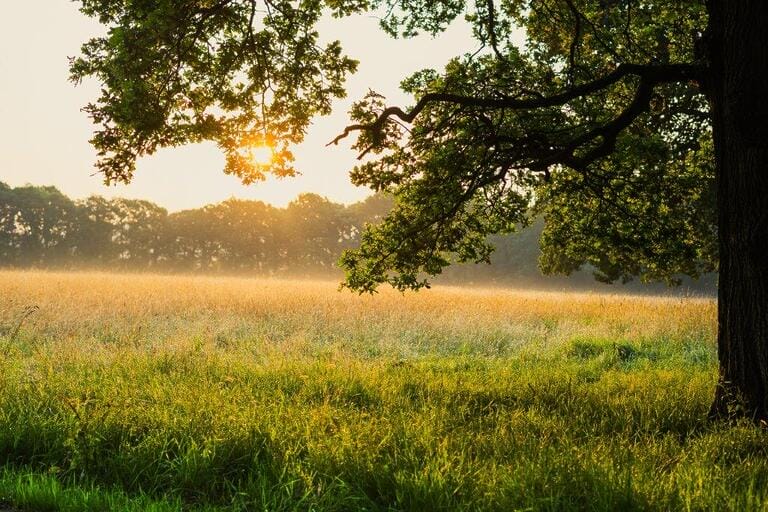 Magnificent Countryside Estate image 48