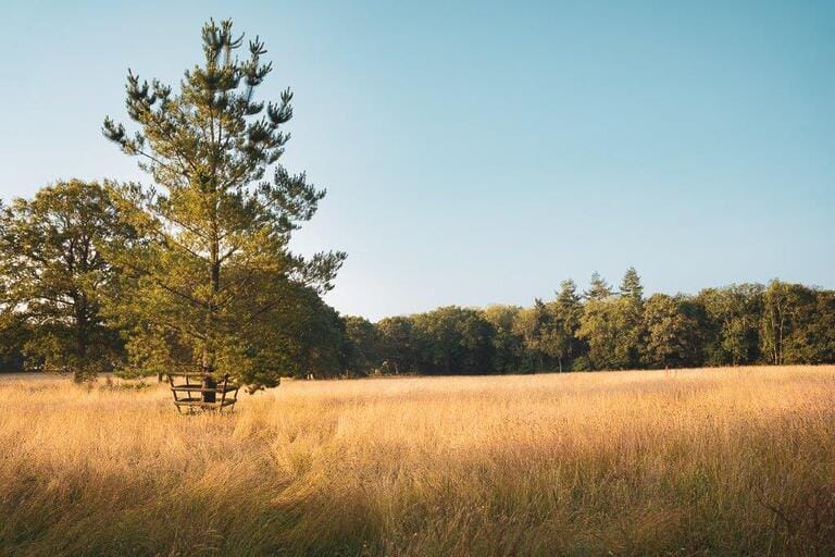 Magnificent Countryside Estate image 47