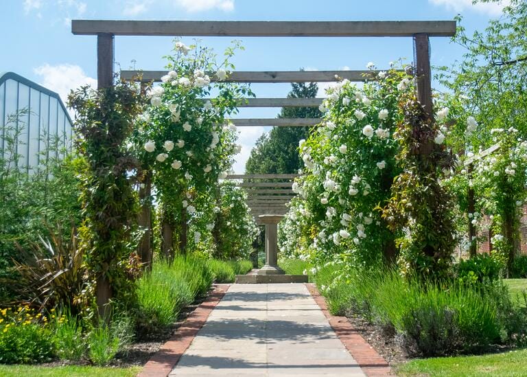 Surrey School with Grounds image 37