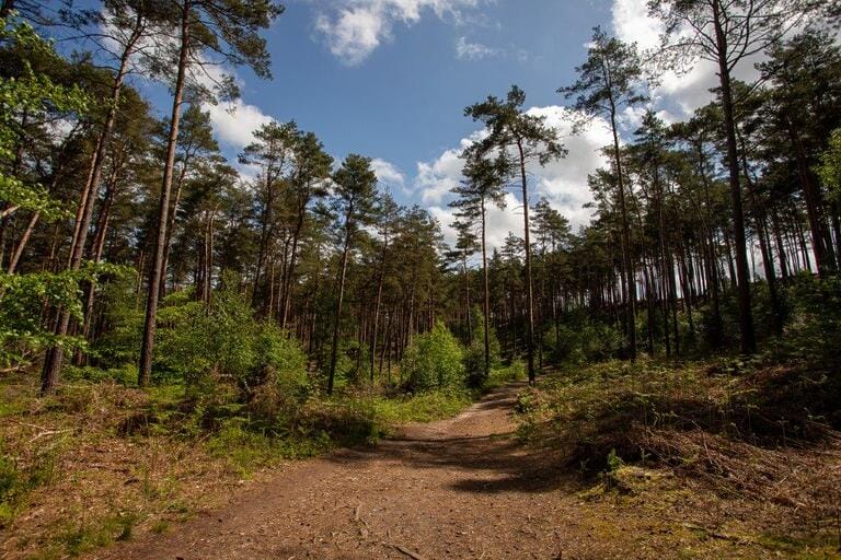 Unit Base and Woodland image 21