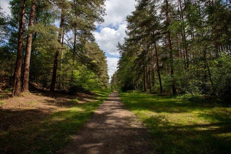 Unit Base and Woodland image 10
