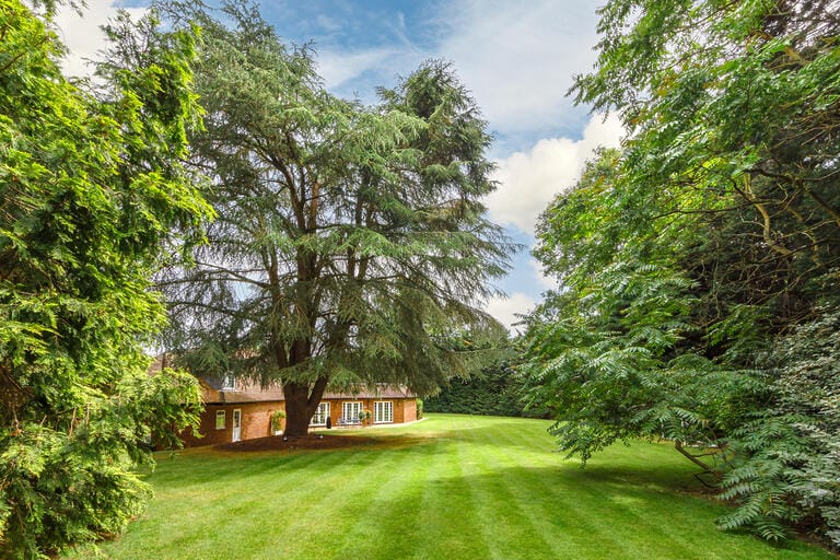Large Detached Home in Radlett image 20