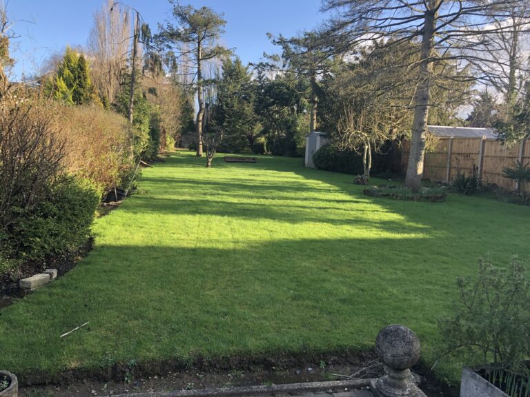 5 Bedroom Family Home in Mill Hill image 19