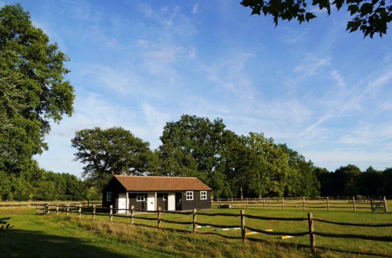 Large Detached House in Surrey image 36