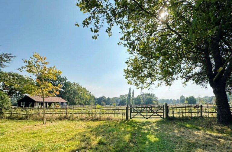 Large Detached House in Surrey image 37