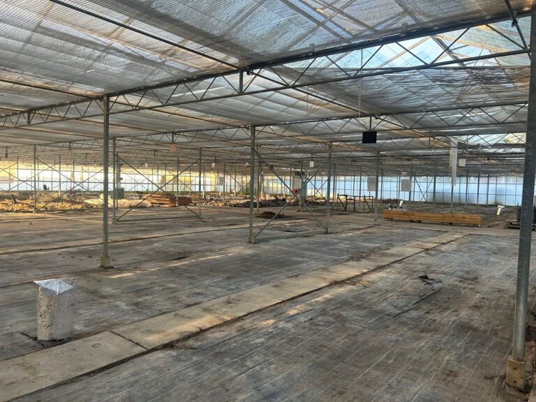 Backlot & Production Base image 2