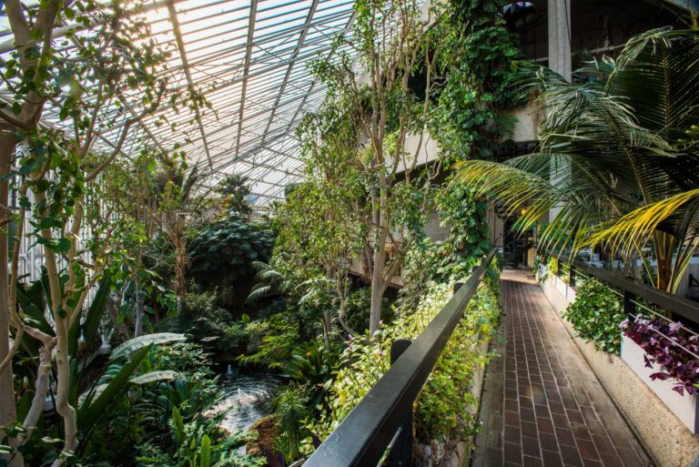 Unforgettable Central London Venue with Iconic Spaces for Every Event image 3
