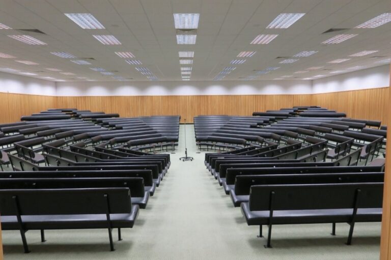 Large Meeting Hall Open Space image 7